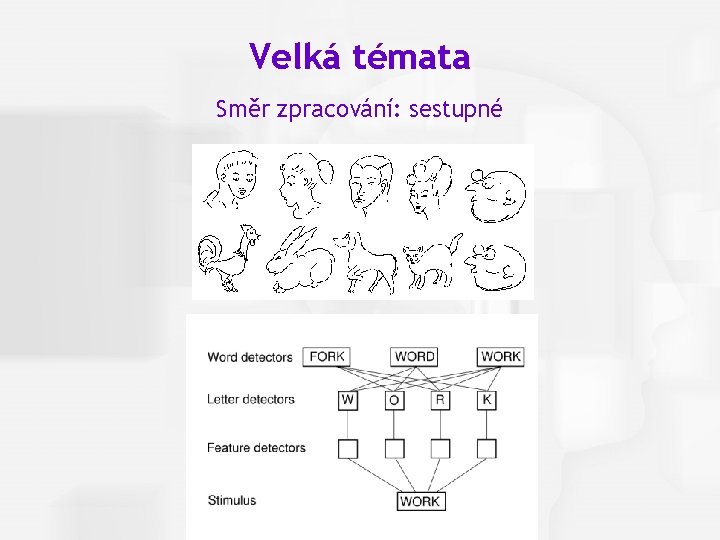 Cognitive Psychology, Fourth Edition, Robert J. Sternberg Velká témata Směr zpracování: sestupné Chapter 1