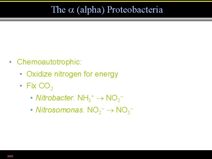 The (alpha) Proteobacteria • Chemoautotrophic: • Oxidize nitrogen for energy • Fix CO 2