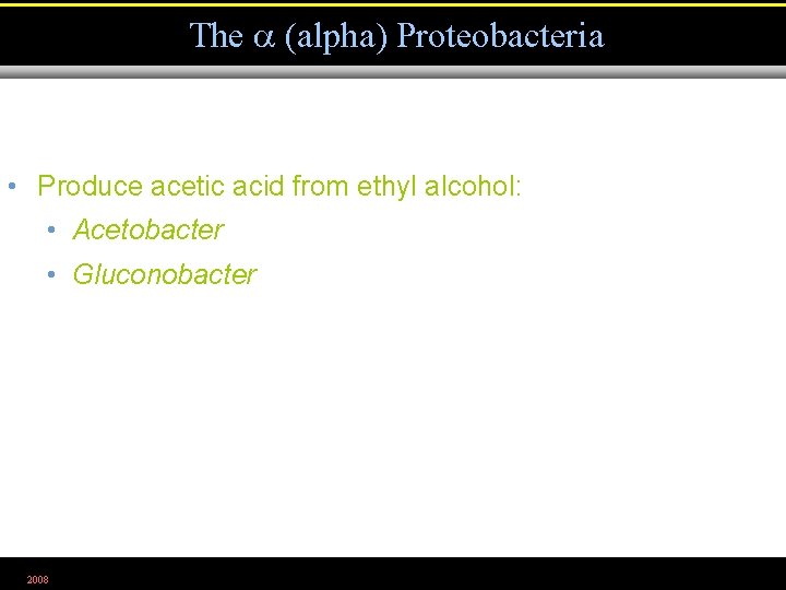 The (alpha) Proteobacteria • Produce acetic acid from ethyl alcohol: • Acetobacter • Gluconobacter