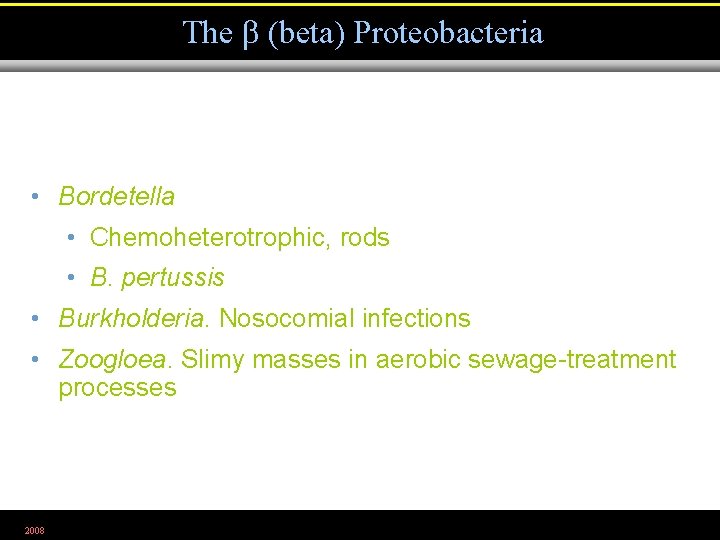 The (beta) Proteobacteria • Bordetella • Chemoheterotrophic, rods • B. pertussis • Burkholderia. Nosocomial
