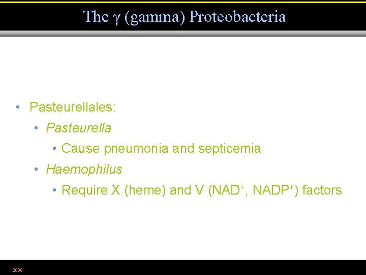 The (gamma) Proteobacteria • Pasteurellales: • Pasteurella • Cause pneumonia and septicemia • Haemophilus