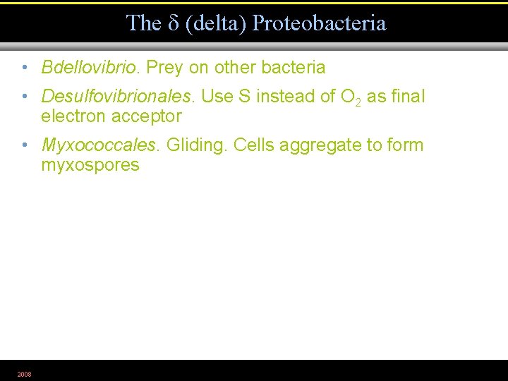 The (delta) Proteobacteria • Bdellovibrio. Prey on other bacteria • Desulfovibrionales. Use S instead