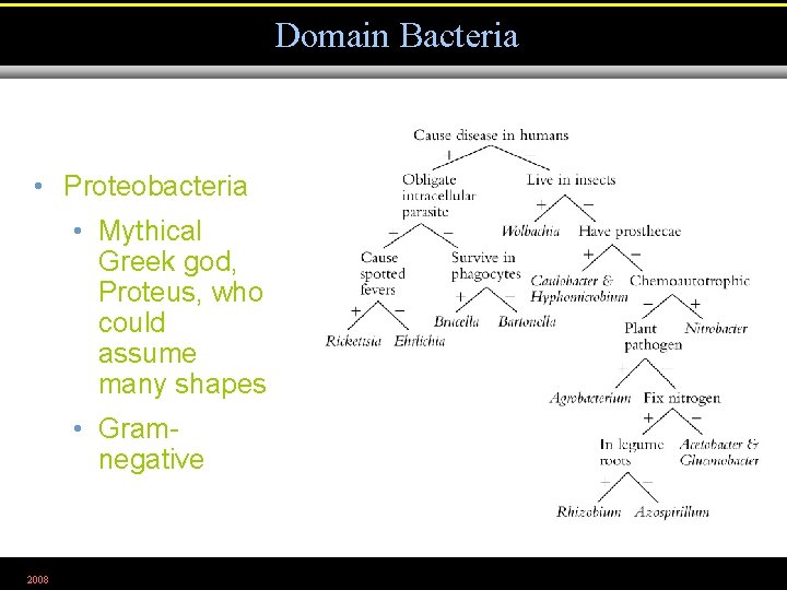 Domain Bacteria • Proteobacteria • Mythical Greek god, Proteus, who could assume many shapes