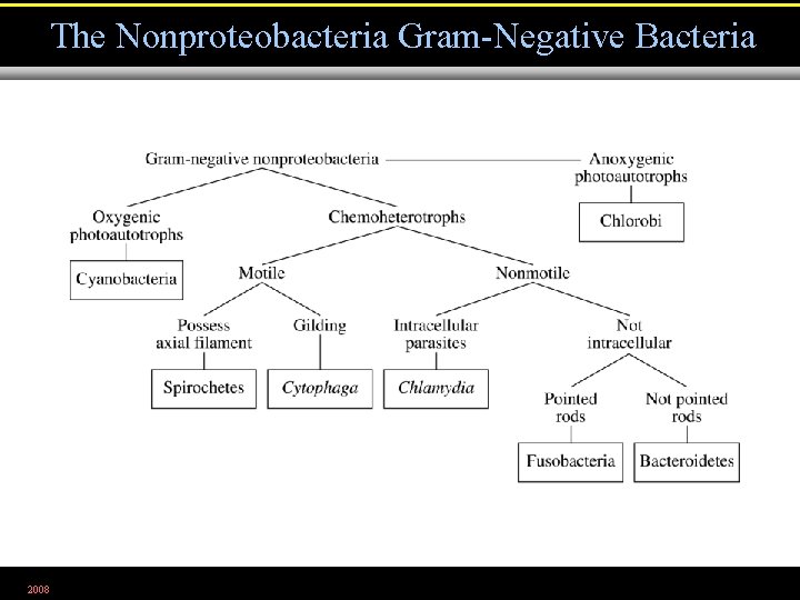 The Nonproteobacteria Gram-Negative Bacteria 2008 