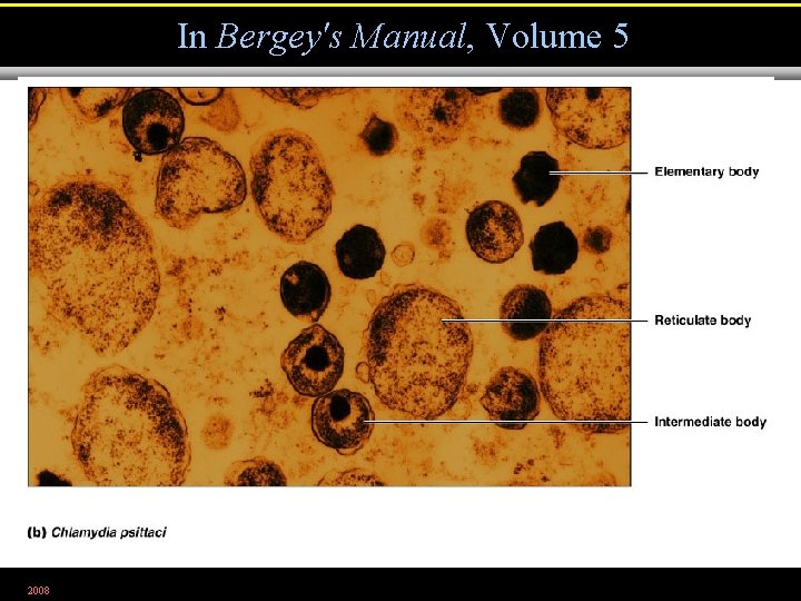 In Bergey's Manual, Volume 5 2008 Figure 11. 22 b 