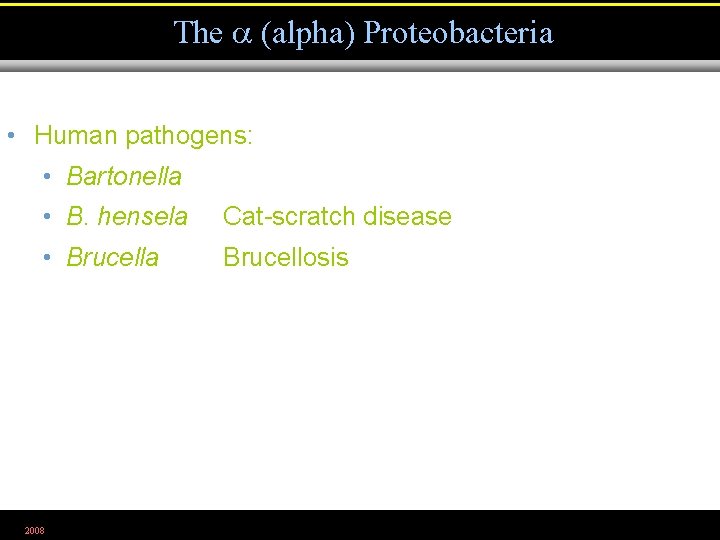 The (alpha) Proteobacteria • Human pathogens: • Bartonella • B. hensela Cat-scratch disease •