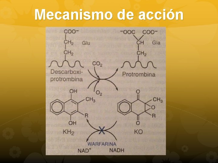 Mecanismo de acción 