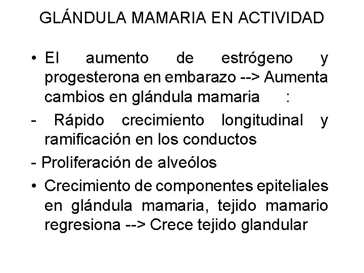 GLÁNDULA MAMARIA EN ACTIVIDAD • El aumento de estrógeno y progesterona en embarazo -->