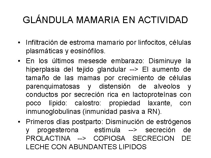 GLÁNDULA MAMARIA EN ACTIVIDAD • Infiltración de estroma mamario por linfocitos, células plasmáticas y