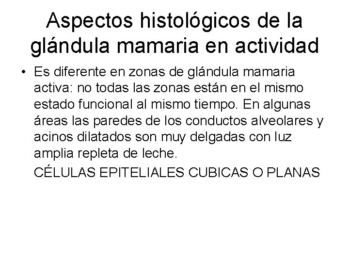 Aspectos histológicos de la glándula mamaria en actividad • Es diferente en zonas de