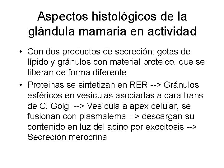 Aspectos histológicos de la glándula mamaria en actividad • Con dos productos de secreción: