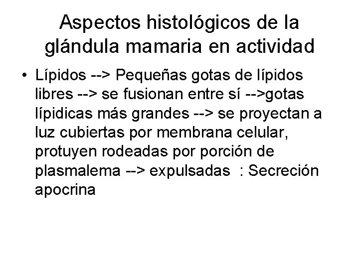 Aspectos histológicos de la glándula mamaria en actividad • Lípidos --> Pequeñas gotas de