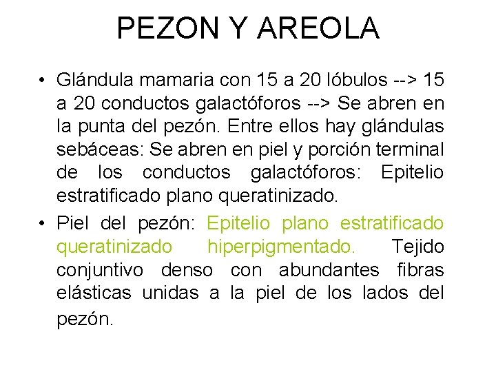 PEZON Y AREOLA • Glándula mamaria con 15 a 20 lóbulos --> 15 a