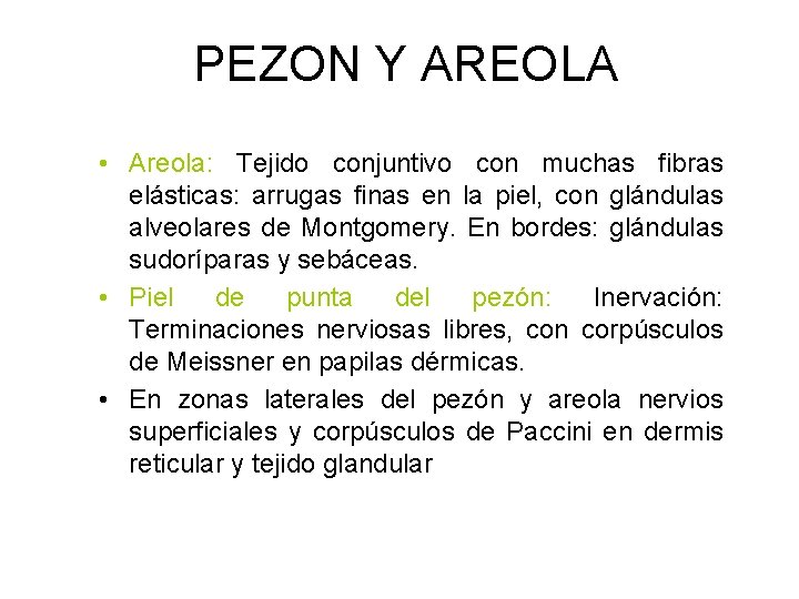 PEZON Y AREOLA • Areola: Tejido conjuntivo con muchas fibras elásticas: arrugas finas en