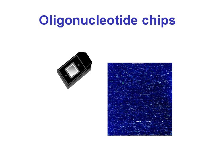 Oligonucleotide chips 