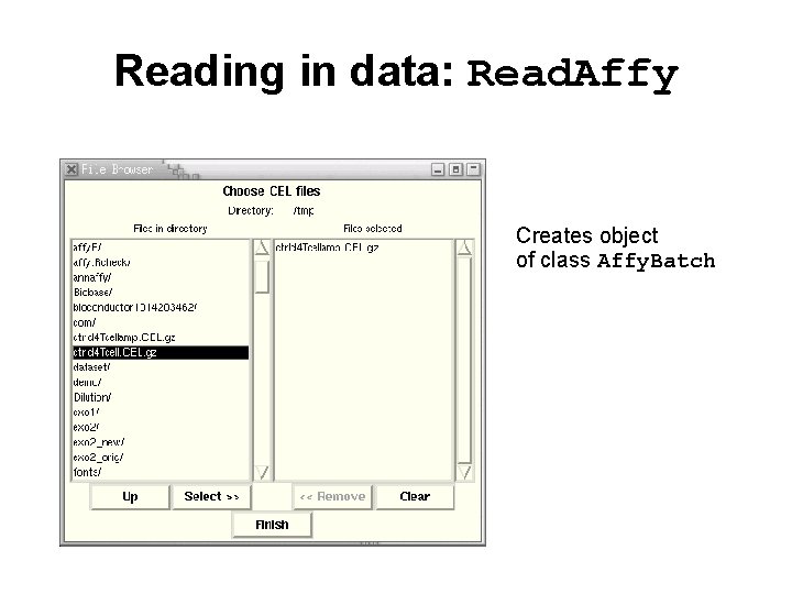 Reading in data: Read. Affy Creates object of class Affy. Batch 