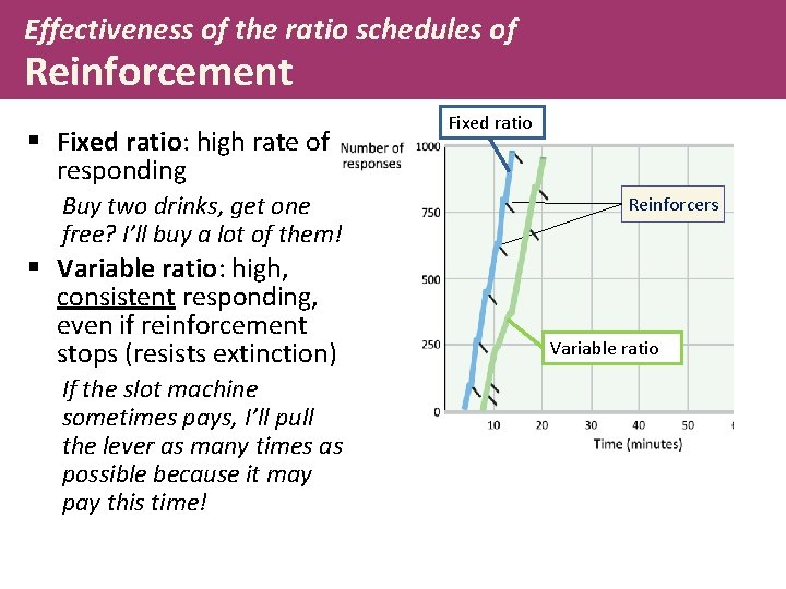 Effectiveness of the ratio schedules of Reinforcement § Fixed ratio: high rate of responding