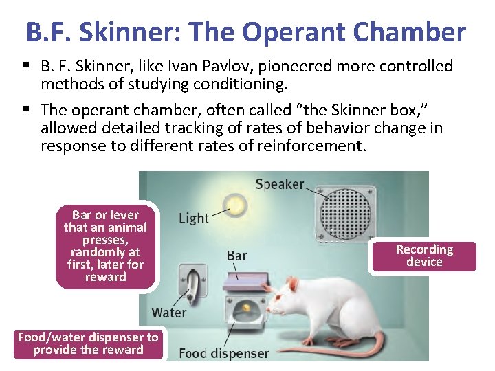 B. F. Skinner: The Operant Chamber § B. F. Skinner, like Ivan Pavlov, pioneered