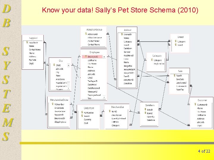 D B Know your data! Sally’s Pet Store Schema (2010) S Y S T