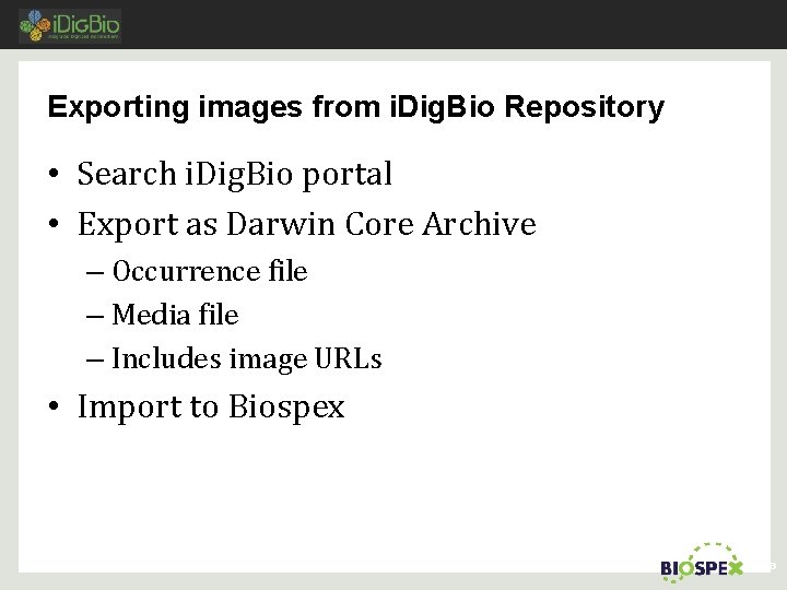 Exporting images from i. Dig. Bio Repository • Search i. Dig. Bio portal •