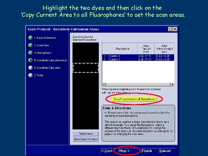 Highlight the two dyes and then click on the ‘Copy Current Area to all