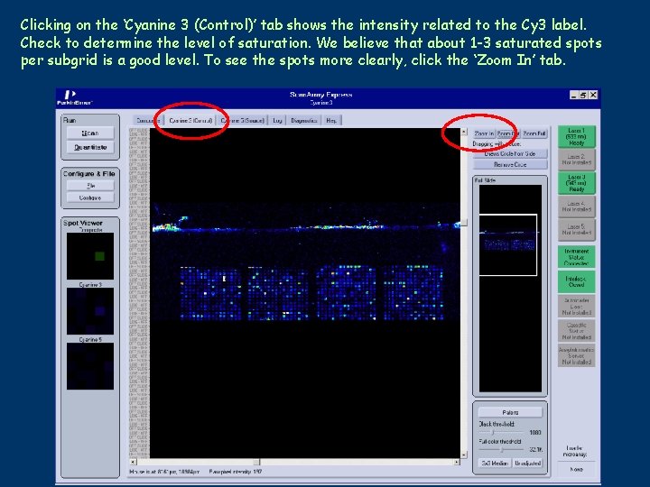 Clicking on the ‘Cyanine 3 (Control)’ tab shows the intensity related to the Cy