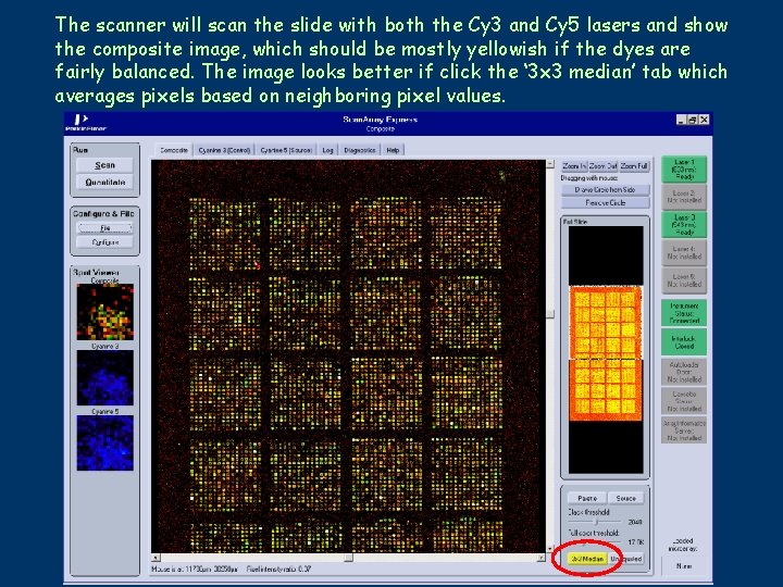 The scanner will scan the slide with both the Cy 3 and Cy 5