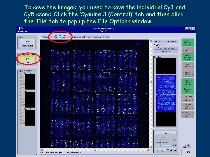 To save the images, you need to save the individual Cy 3 and Cy