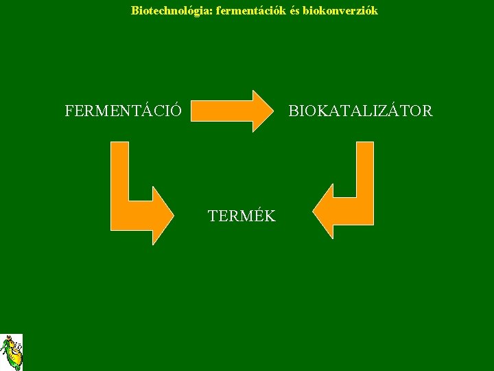 Biotechnológia: fermentációk és biokonverziók FERMENTÁCIÓ BIOKATALIZÁTOR TERMÉK 