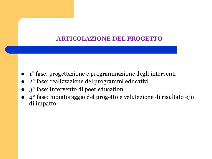 ARTICOLAZIONE DEL PROGETTO l l 1° fase: progettazione e programmazione degli interventi 2° fase: