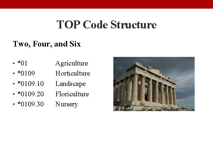 TOP Code Structure Two, Four, and Six • *0109. 10 • *0109. 20 •