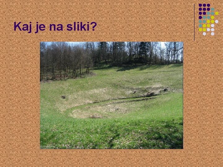 Kaj je na sliki? 