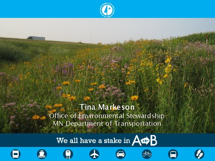 Tina Markeson Office of Environmental Stewardship MN Department of Transportation 