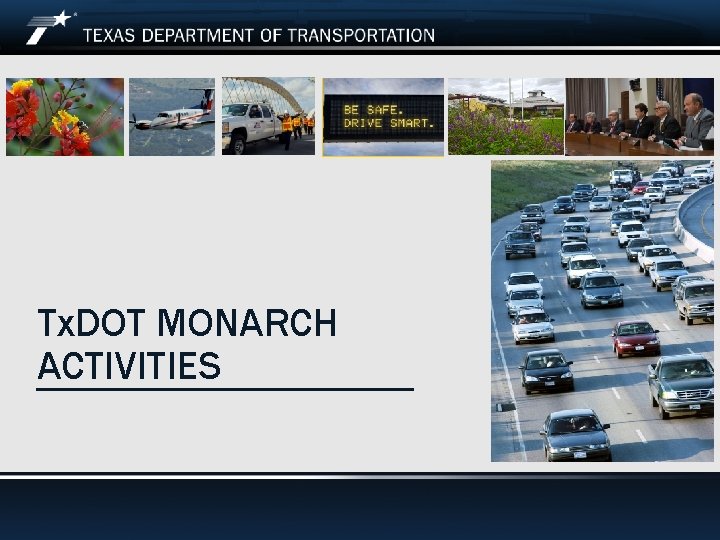 Tx. DOT MONARCH ACTIVITIES 