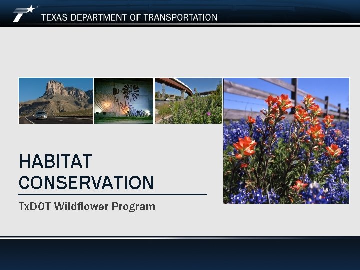 HABITAT CONSERVATION Tx. DOT Wildflower Program 