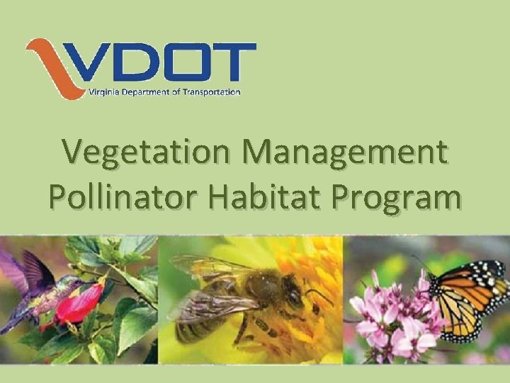 Vegetation Management Pollinator Habitat Program 