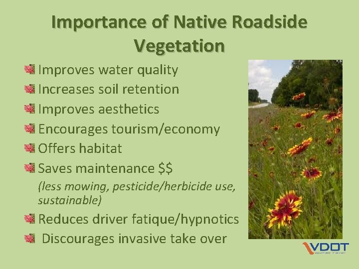 Importance of Native Roadside Vegetation Improves water quality Increases soil retention Improves aesthetics Encourages