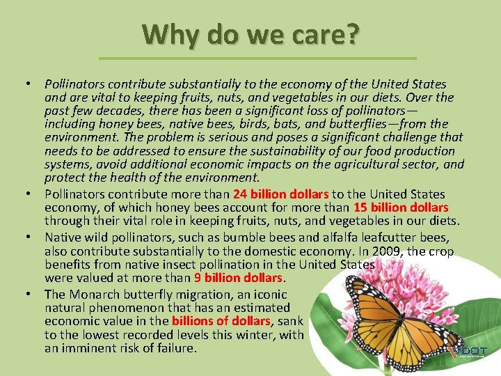 Why do we care? • Pollinators contribute substantially to the economy of the United