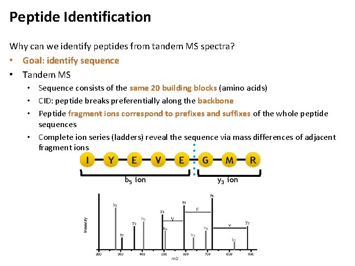 Peptide Identification Why can we identify peptides from tandem MS spectra? • Goal: identify