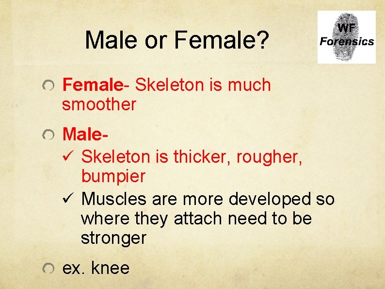 Male or Female? Female- Skeleton is much smoother Maleü Skeleton is thicker, rougher, bumpier