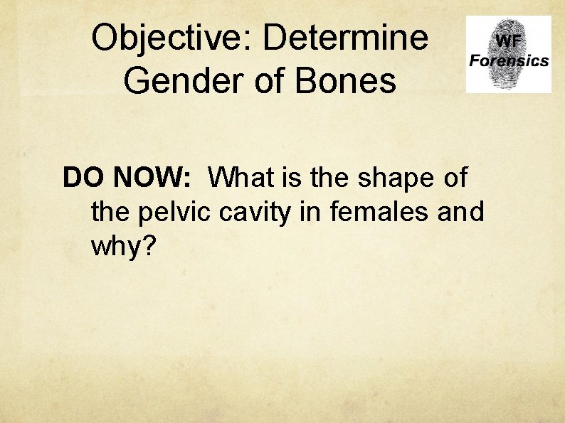 Objective: Determine Gender of Bones DO NOW: What is the shape of the pelvic