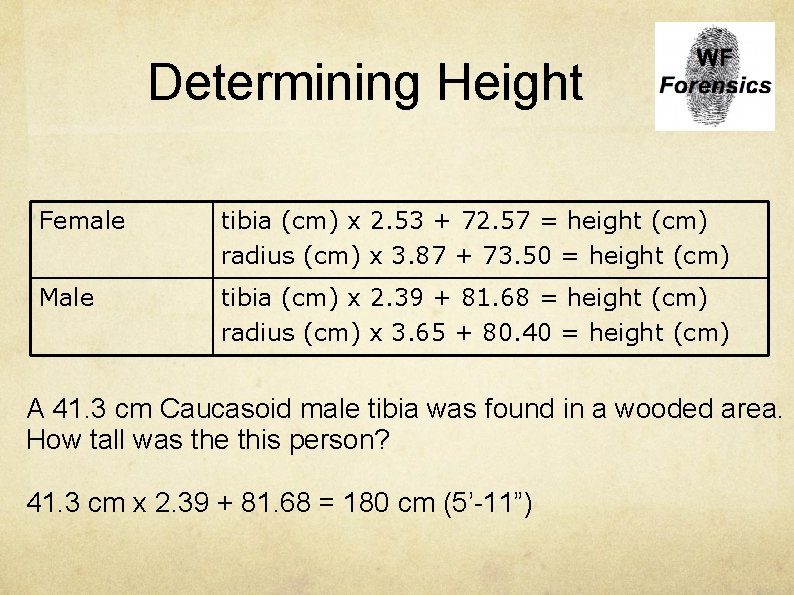 Determining Height Female tibia (cm) x 2. 53 + 72. 57 = height (cm)