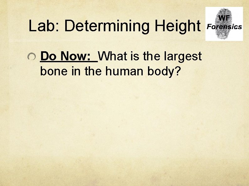 Lab: Determining Height Do Now: What is the largest bone in the human body?