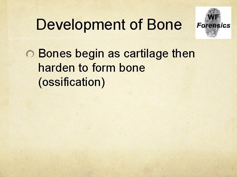 Development of Bones begin as cartilage then harden to form bone (ossification) 
