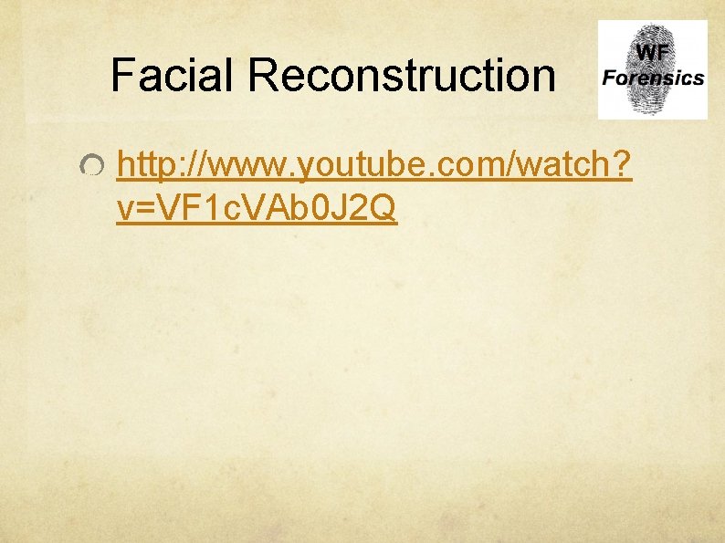 Facial Reconstruction http: //www. youtube. com/watch? v=VF 1 c. VAb 0 J 2 Q