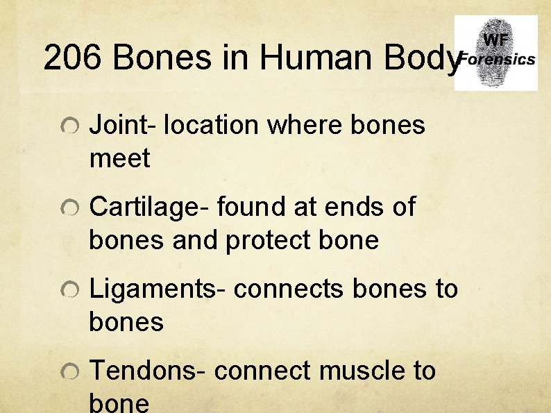 206 Bones in Human Body Joint- location where bones meet Cartilage- found at ends