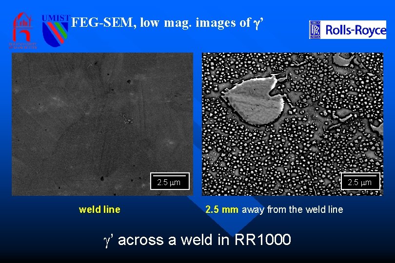 FEG-SEM, low mag. images of g’ 2. 5 mm weld line 2. 5 mm