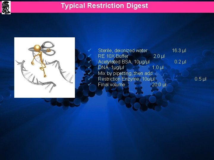 Typical Restriction Digest ü ü ü ü Sterile, deionized water RE 10 X Buffer