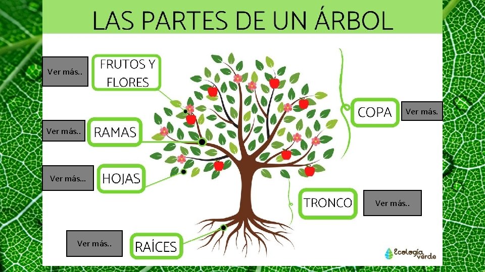 Ver más. . Ver más… Ver más. . 
