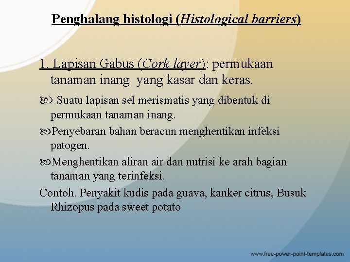 Penghalang histologi (Histological barriers) 1. Lapisan Gabus (Cork layer): permukaan tanaman inang yang kasar